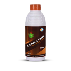 CEPRATEN