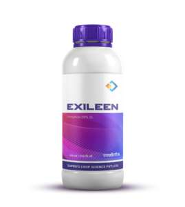 EXILEEN