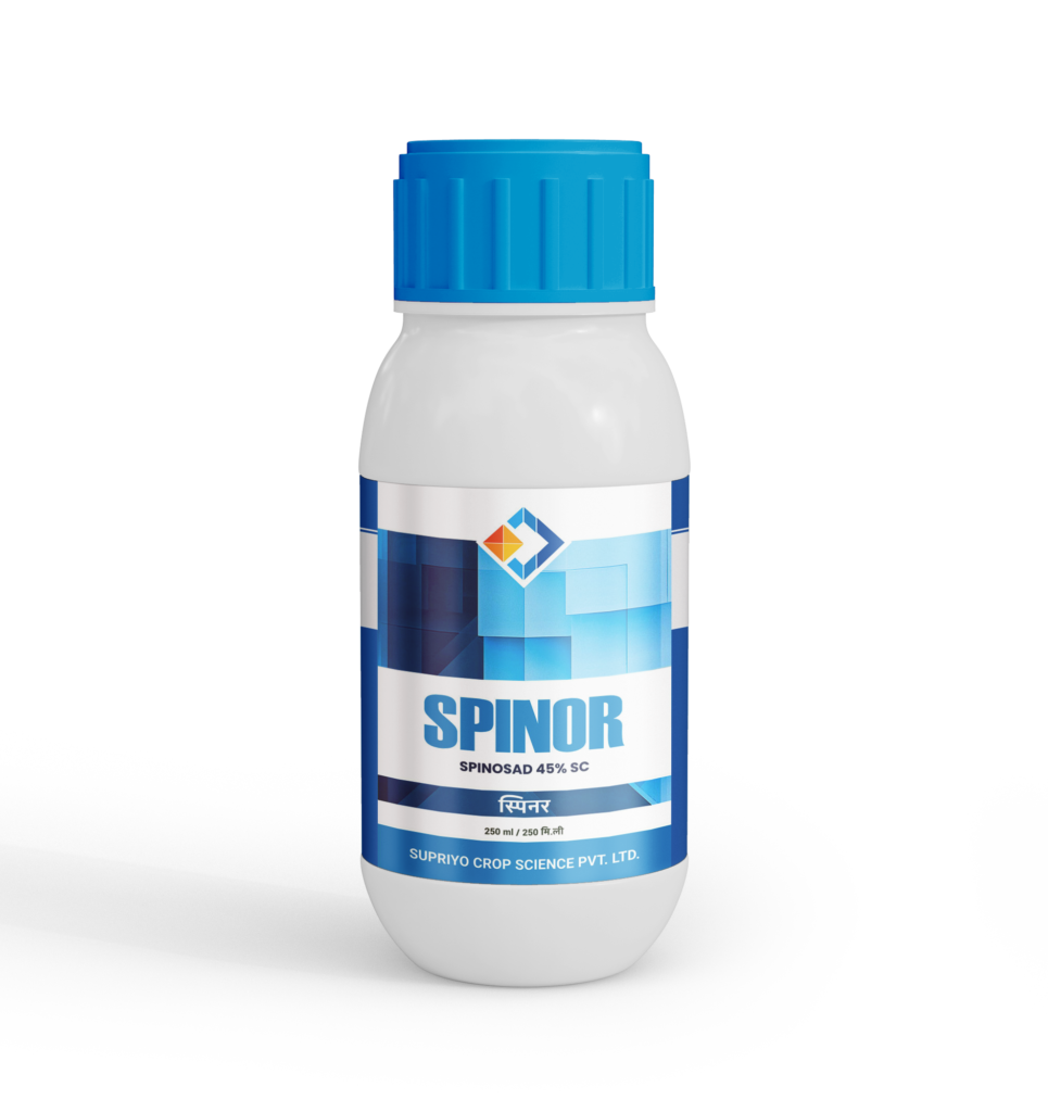 SPINOR
