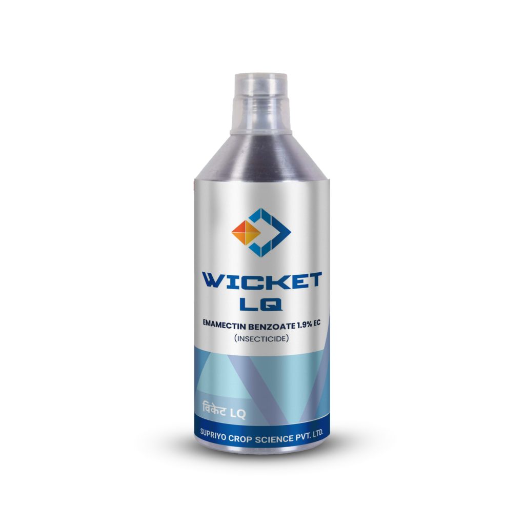 WICKET LQ