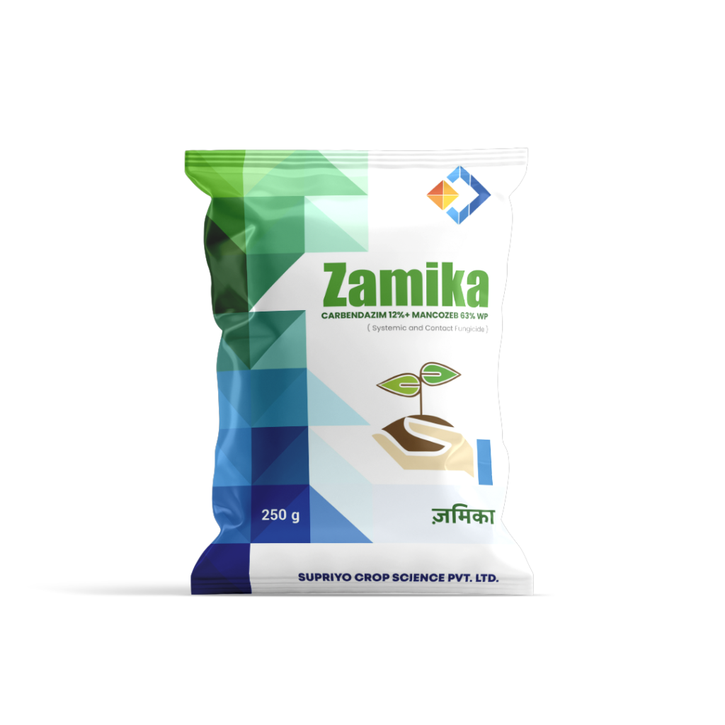 ZAMIKA
