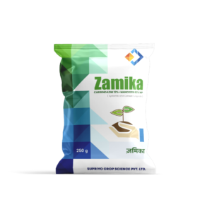 ZAMIKA