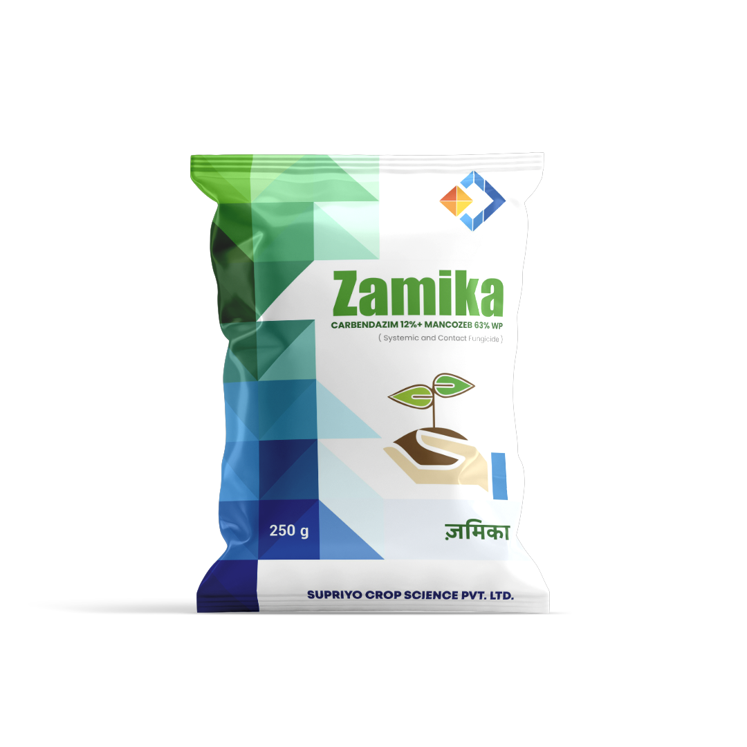 ZAMIKA