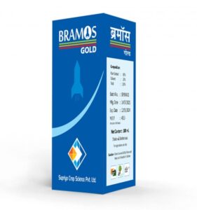 Bramos Gold