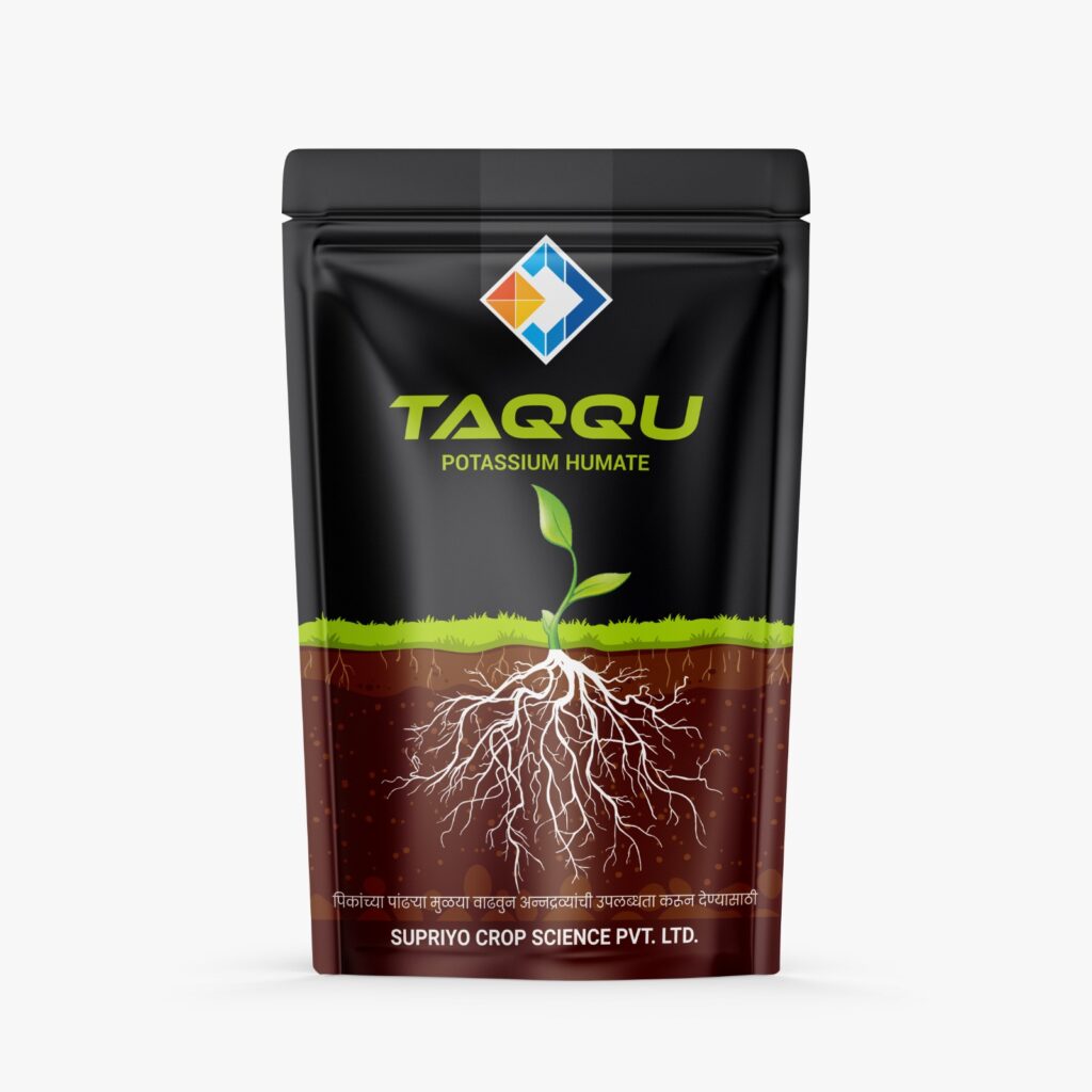 TAQQU