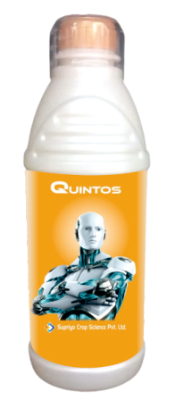 QUINTOS