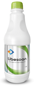 Libesoan