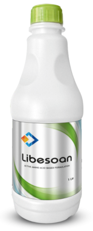 Libesoan