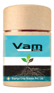 Vam Hub
