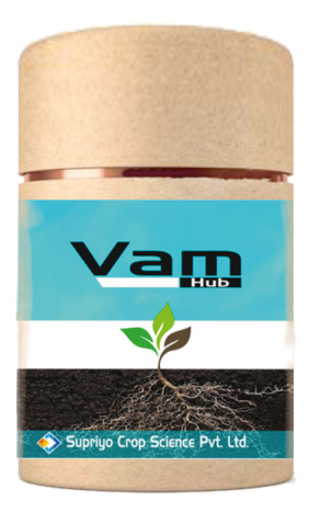 Vam Hub